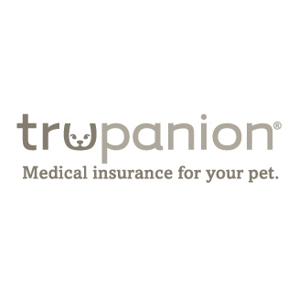 Pet Insurance Comparison Chart 2019