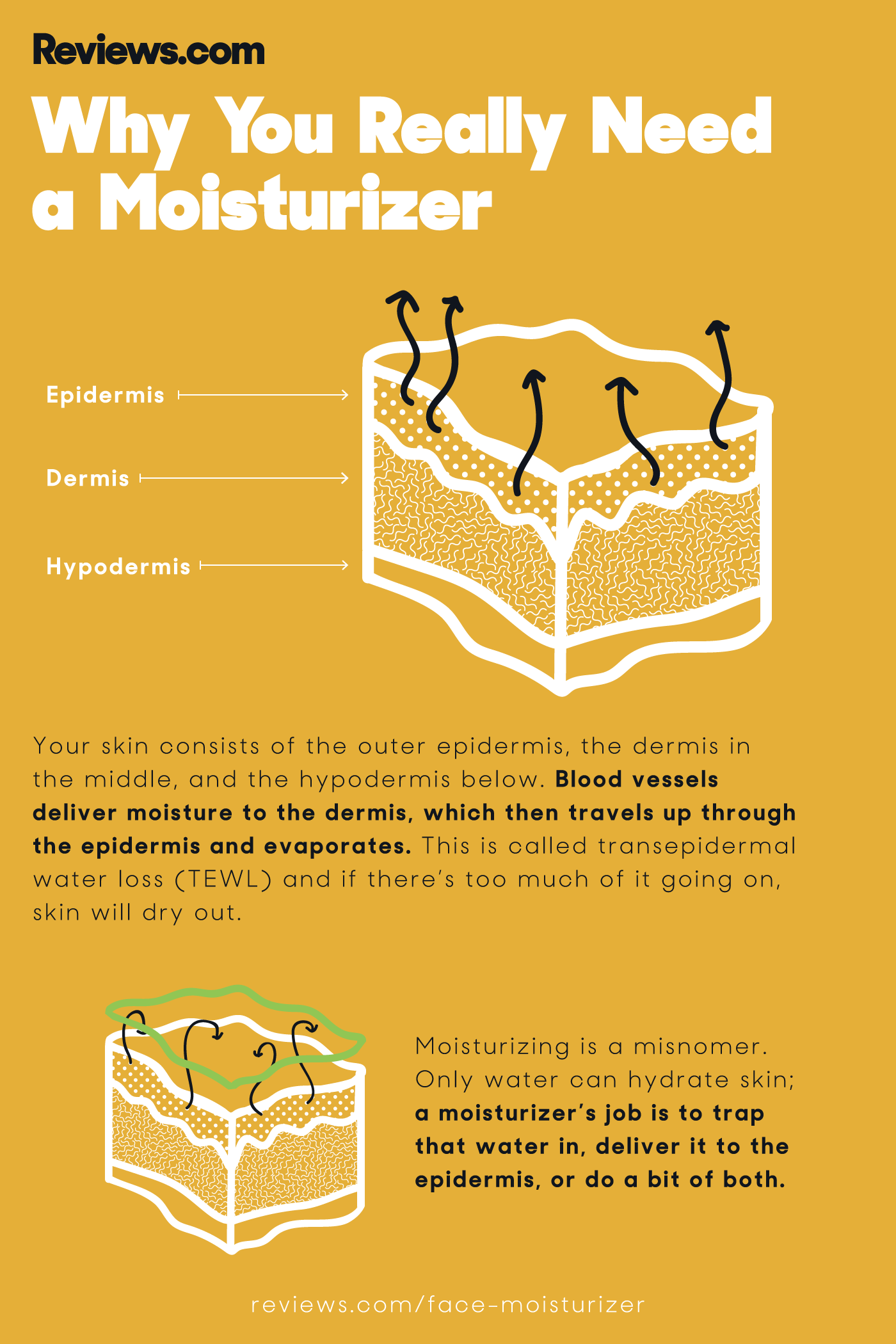 Why You Really Need a Moisturizer