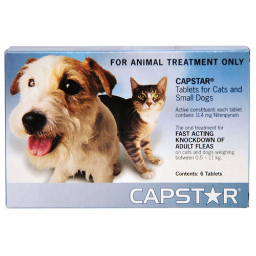 Best Tick Medicine For Dogs In India Best Tick Medicine For Dogs In India