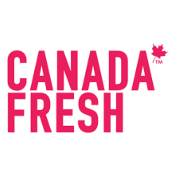 Best Wet Cat Food Brands Canada Best Wet Cat Food Brands Canada