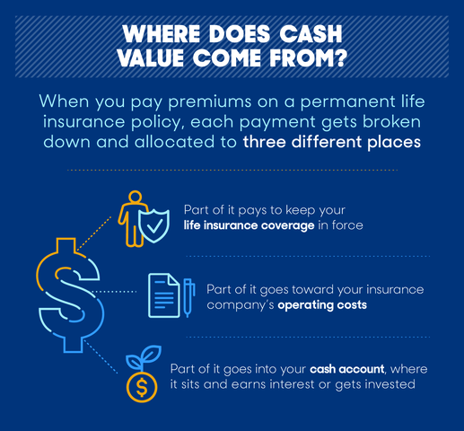 What Is Cash Value Life Insurance in 2019? | Reviews.om