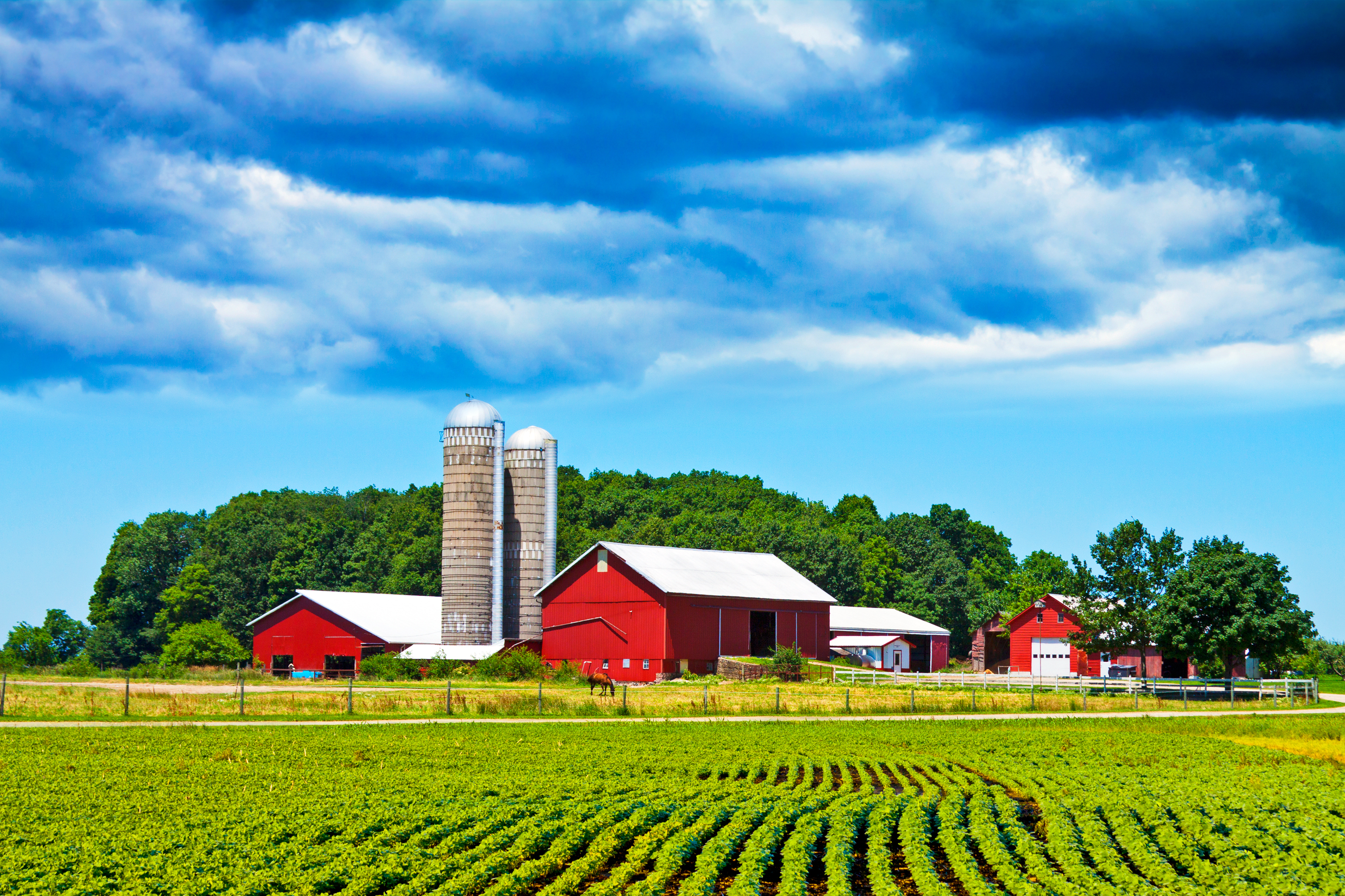 Farmers Homeowners Insurance >> 2019 Farmers Homeowners Insurance Review Reviews Com Farmers Homeowners Insurance >> 2019 Farmers Homeowners Insurance Review Reviews Com