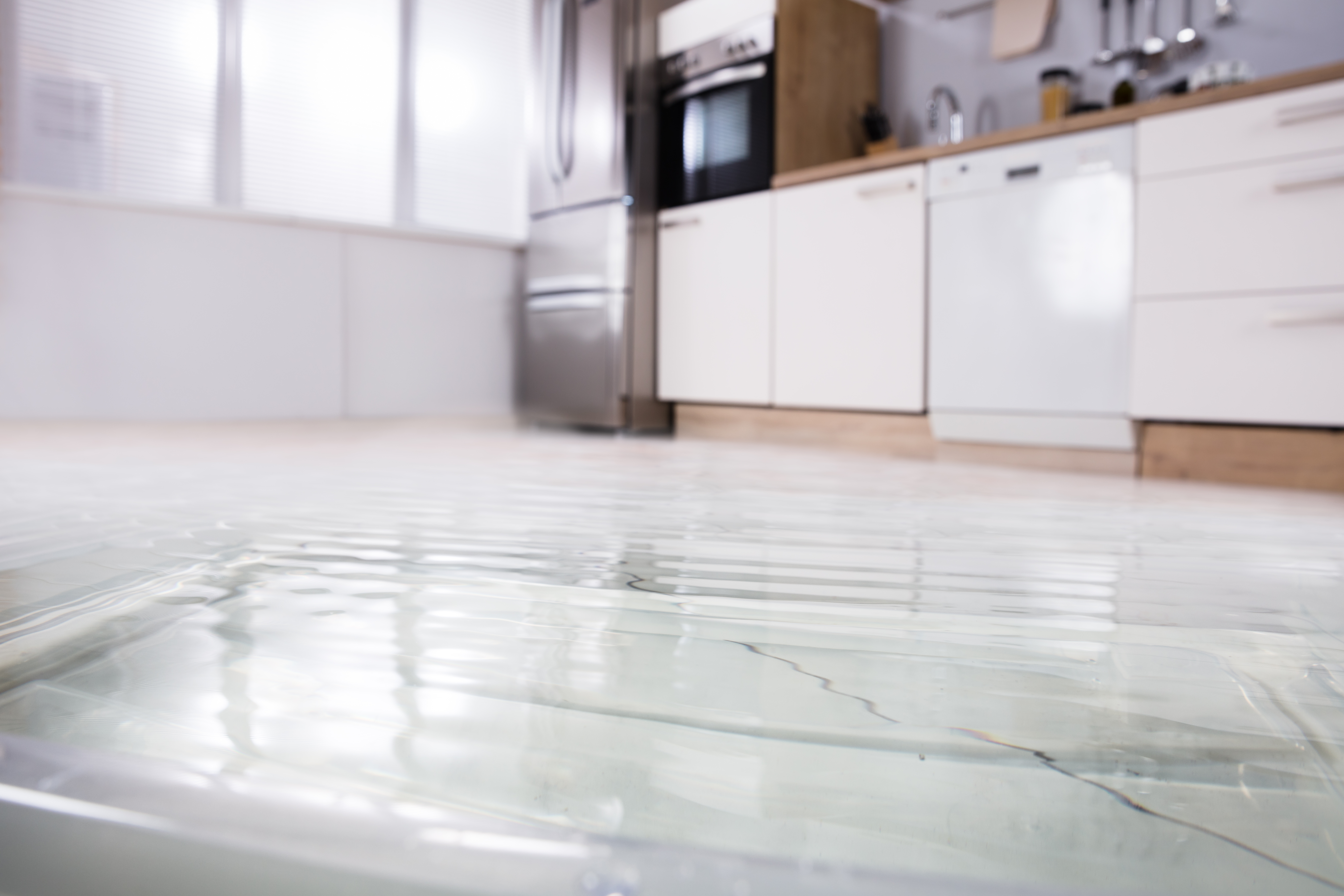 What Homeowners Need To Know About Water Damage Reviews What Homeowners Need To Know About Water Damage Reviews