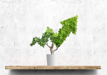 Put Your Money Where Your Future Is: A Case for Ethical Investing